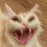 Извращенный отшельник's profile picture