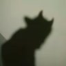 Profilbild von Mainne