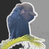 BrowN's profile picture