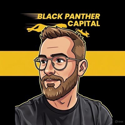 Black Panther Capital's profile picture