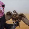 Фото профиля فهد