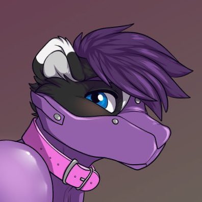 Skunkpet's profile picture
