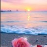 زهرة الجنوب's profile picture