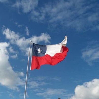 Popepa 🇨🇱 #AhoraTengoPresidente's profile picture