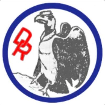 DemRadicalCL's profile picture