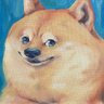Profilbild von gfd