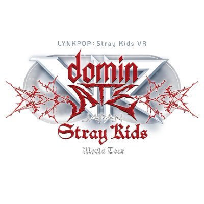 straykids_vr's profile picture