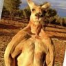 Jas's profile picture