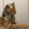 j profil fotoğrafı
