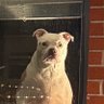 shonB's profile picture