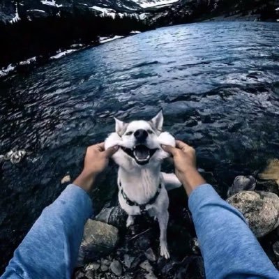 ianzo0's profile picture