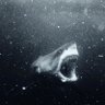 Fléau du Flow profil fotoğrafı