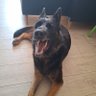 Nadia profil fotoğrafı