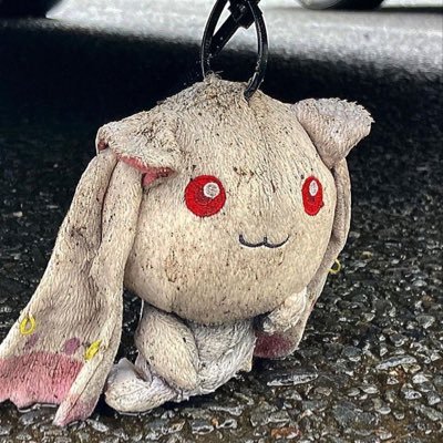 jomulaegi763837's profile picture