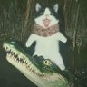 赢政's profile picture