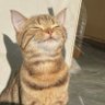 Profilbild von Jaemilerh