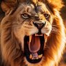 Фото профиля LION 🦁 LIGA