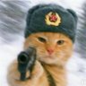 Profilbild von @bobo