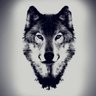 Profilbild von IRCnetwork
