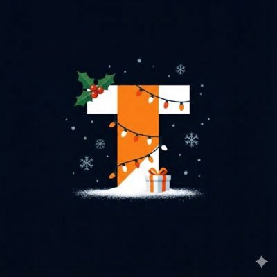 Toknex_xyz's profile picture