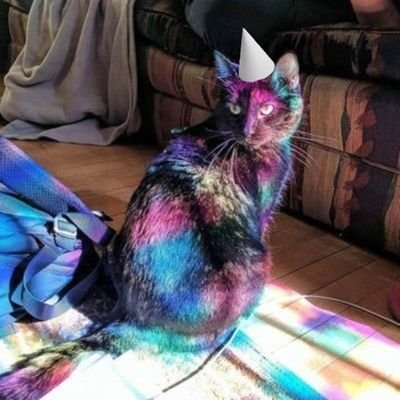 windmaomi's profile picture