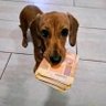 NYIKO's profile picture
