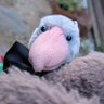 Profilbild von 翠