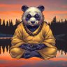 𝐩𝐚𝐧𝐝𝐚's profile picture