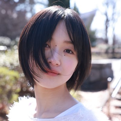 ikoi_hayase's profile picture