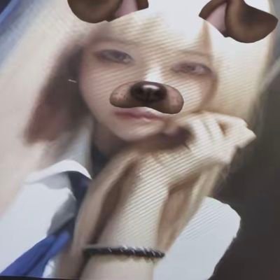 yuushinnio's profile picture