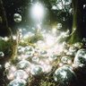 Фото профиля はっぱ