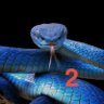 JACM2's profile picture