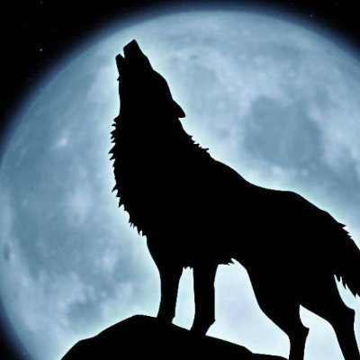 bozkurtakli_'s profile picture