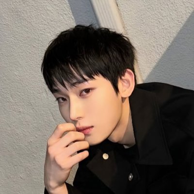 han ; ๐ฆ JUNENOO's profile picture