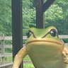 Profilbild von カエル