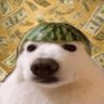 Фото профиля Maxed Stackz