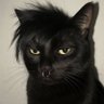 renatanás profil fotoğrafı