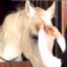 ༺منيَرٍة༻'s profile picture