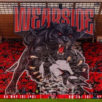 ๐ฉThis Is Wearside ๐ณ๏ธ's profile picture