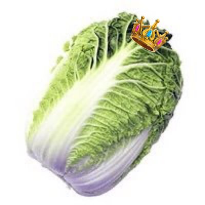 배추's profile picture