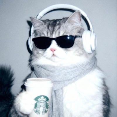 Qubit13_'s profile picture