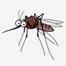 Mosquito 的头像
