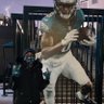 SBLII & SBLIX CHAMPS's profile picture
