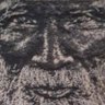 rojonegro's profile picture