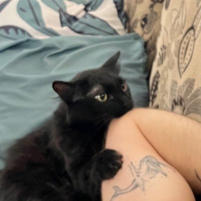maicud's profile picture