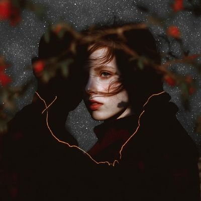 Nightbloom's profile picture
