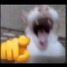 d7oom🗿 profil fotoğrafı