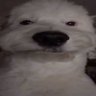 imanturano's profile picture