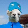 Фото профиля alpaco🦙ariqueño