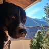 Profilbild von maelle